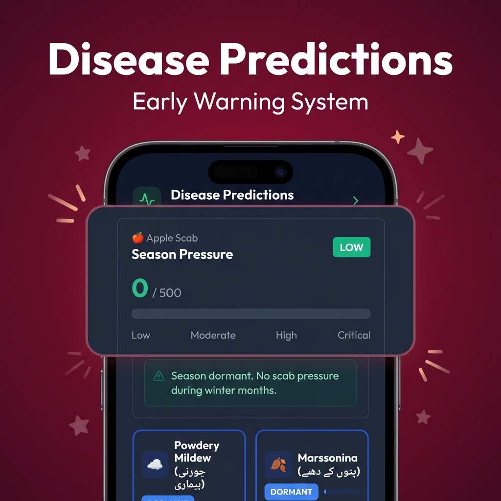 Disease Prediction Dashboard